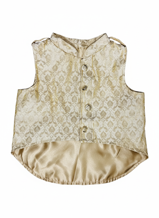 Easy To Wear - Dog Gold Sherwani