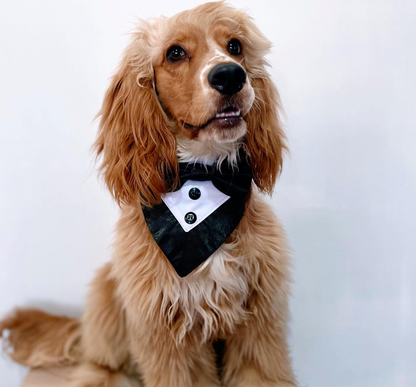 Dog Bow Tie Tuxedo Suit