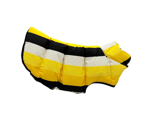 Yellow and Black Dog Jacket Luxury