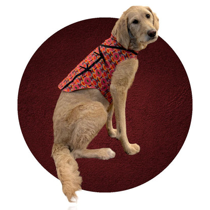 Best Selling Dog Outfit For Special Occasion - Dhaka Fabric